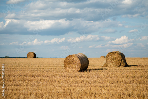 Round hay bales on a mowed field under a cloudy blue sky