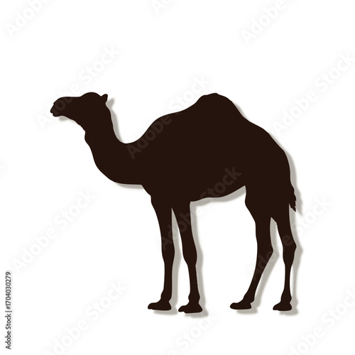 Silhouette of a Brown Camel Standing Profile View