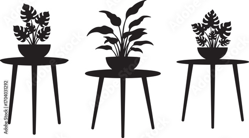Three potted houseplants on small tables silhouette