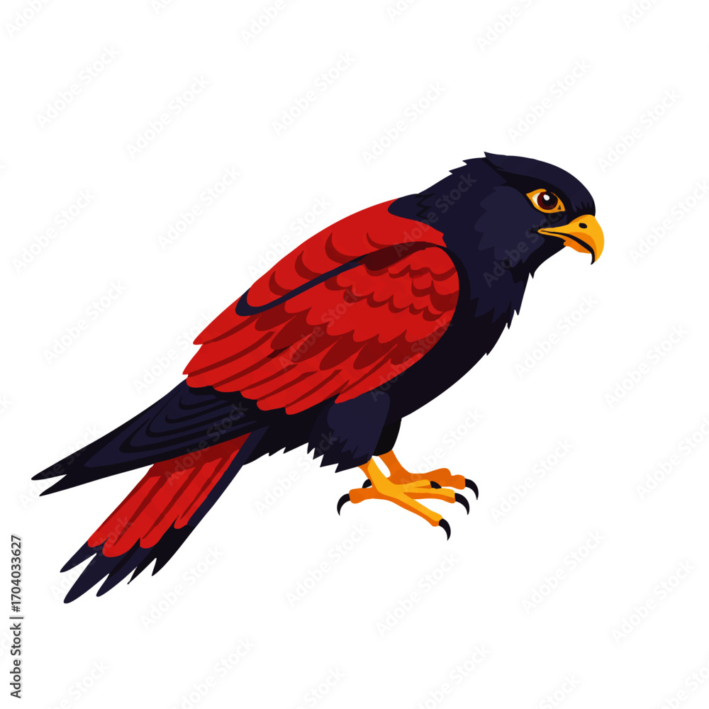 Fototapeta premium Striking Red-and-Black Hawk Illustration, Perched Profile View