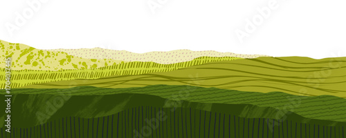 Agriculture field collage background with scribbles and crayon drawn patterns. Asian countryside farm collage banner design. Ecology decorative abstract banner. Rise, wheat or tee landscape.