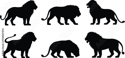 Set of lion silhouette vector illustrations, wild animal graphic design collection, powerful jungle predator symbols, African wildlife icons, big cat artwork for nature themes