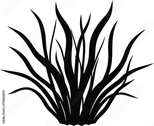 plant in a vase
