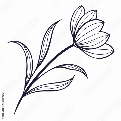 Dark blue outlined petals form a singular flower with a long stem, transparent background