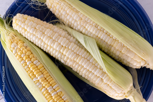 Fresh corn on the cob on a blue plate