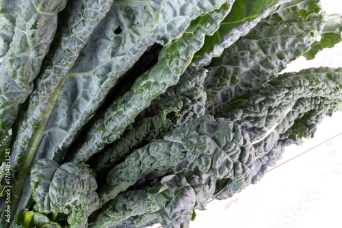 Kale on white, macro