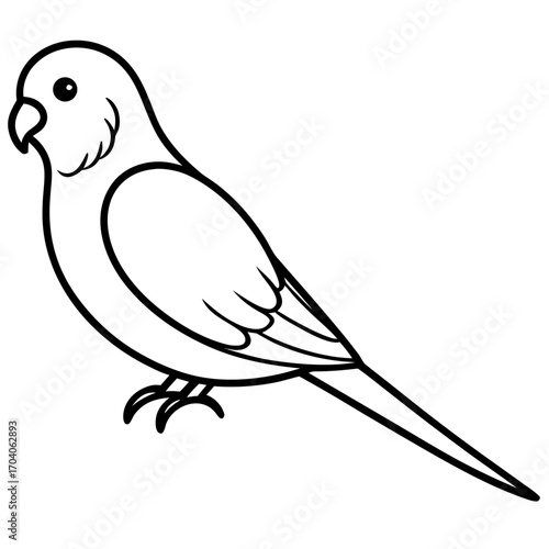 Simple outline illustration of a parakeet bird in silhouette