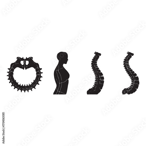 Abstract black silhouettes of a wreath pregnant silhouette and spinal curves