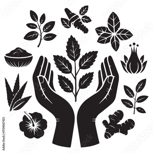 Herbal medicine and natural remedies concept with hands holding a plant surrounded by various botanicals and ingredients in a circular design