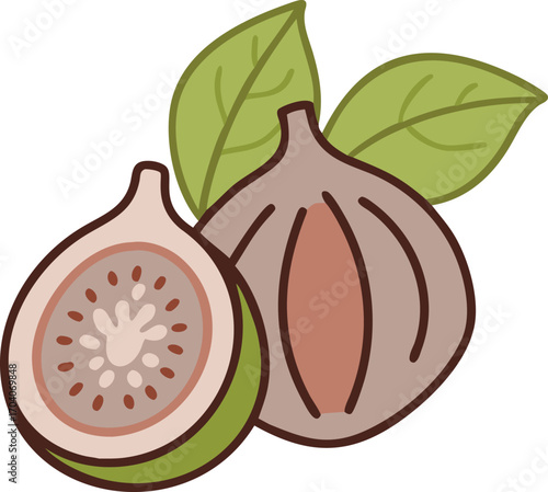 Illustration of fresh fig fruits with leaves, showcasing the sweet and juicy nature of this delicious and healthy fruit