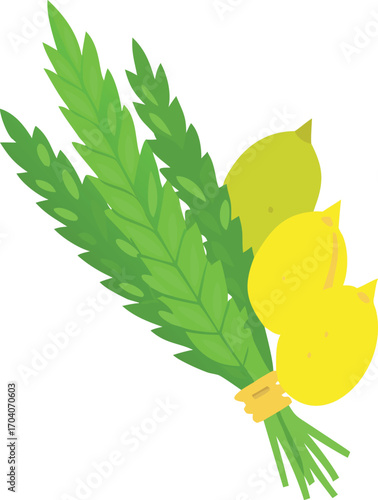 Lulav and etrog for sukkot celebration traditional symbols of jewish holiday with palm branch, myrtle twigs and willow branches