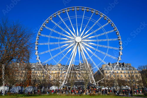 Jardin des tuileries - Paris