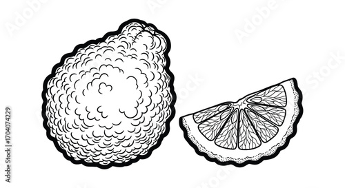 A whole bergamot fruit and a slice revealing its citrus segments.