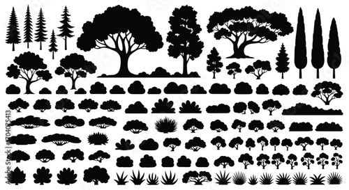 A diverse collection of various deciduous and evergreen trees shrubs and bushes for landscaping design.