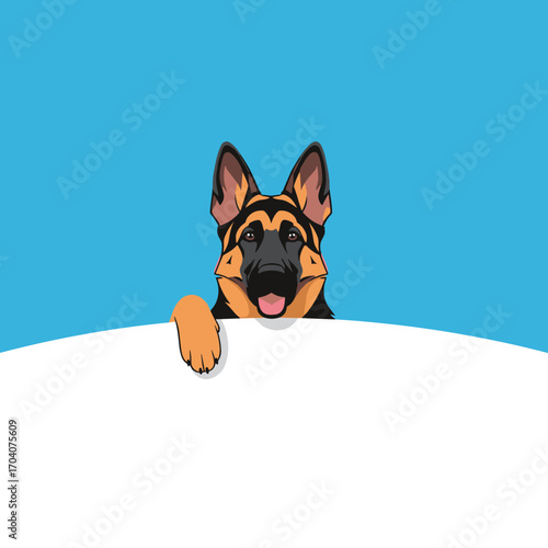 German Shepherd Dog Peeking Over White Surface.