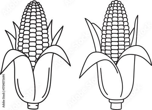 Two detailed corn cob silhouettes silhouette