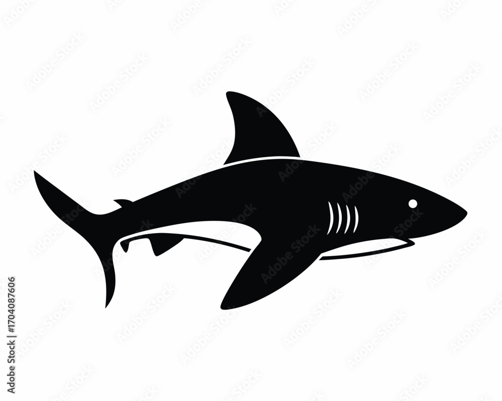 Obraz premium Shark underwater silhouette illustration