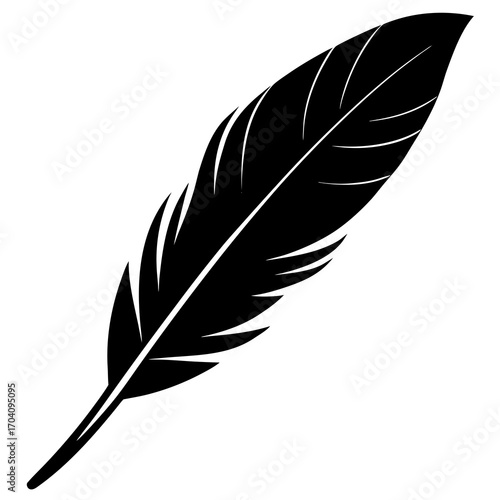 Black feather silhouette isolated white