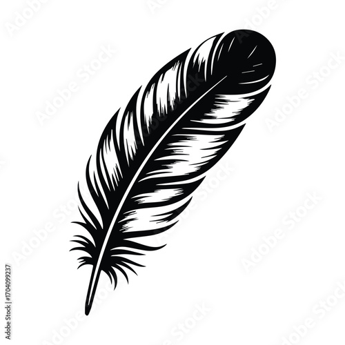 feather isolated on white background