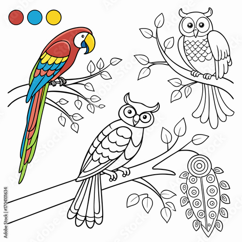  Exotic Birds Coloring Book Parrots