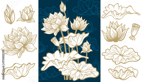 Elegant Lotus Flowers and Botanical Elements