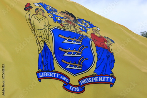 New Jersey State Flag