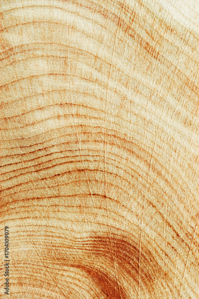 Fototapeta premium Natural wooden background, close up wood texture annual rings form. Top view of cross section of juniper log, graphic nature organic pattern. Sawed timber with tree ring pattern, vertical