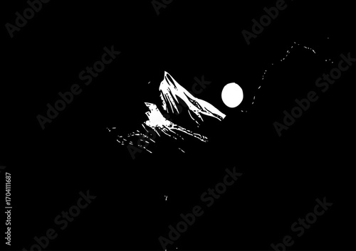 vector illustration of a silhouette of a bird