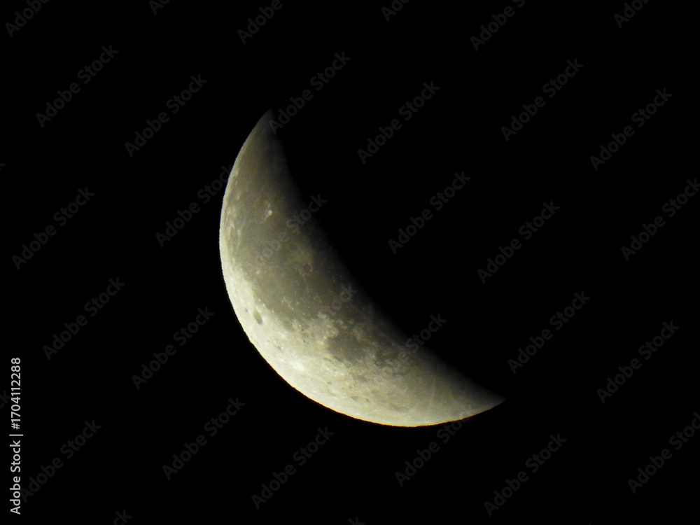 Naklejka premium lune