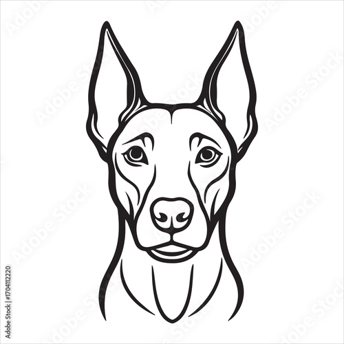 A Noble and Fearless Doberman Pinscher, a Sleek and Muscular Guardian with a Devoted and Alert Temperament, a Confident and Elegant Companion
