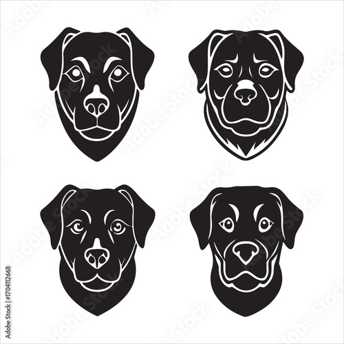A Powerful and Loyal Rottweiler Dog, a Sturdy Guardian with a Muscular Build, a Devoted and Confident Companion with a Distinctive Black and Tan Coat