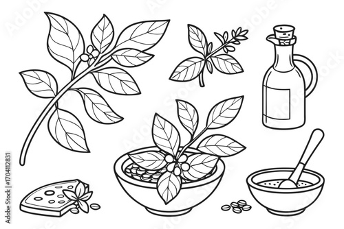 Outline drawing of pesto ingredients including basil leaves cheese olive oil and mortar and pestle vector art on transparent background