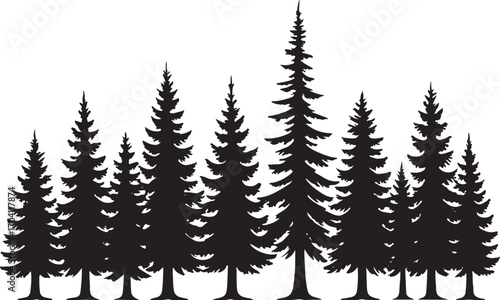 PrintSilhouette of a dense forest of pine trees against a white background