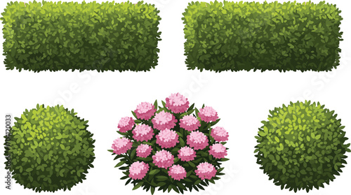 Garden bushes, green hedge, round shrubs, pink flower bush, cartoon foliage, landscape plant design, nature element, top view illustration set