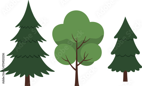 Cartoon pine trees, conifer trees, deciduous tree, evergreen forest, nature elements, flat design vector, landscape illustration, greenery plant set