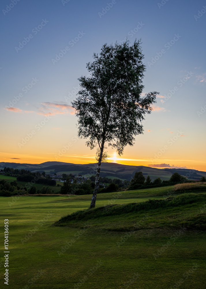 Obraz premium lone tree at sunset