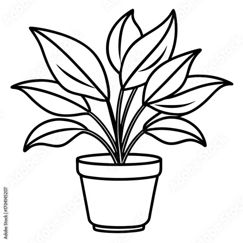 Modern Potted Plant Line Vector