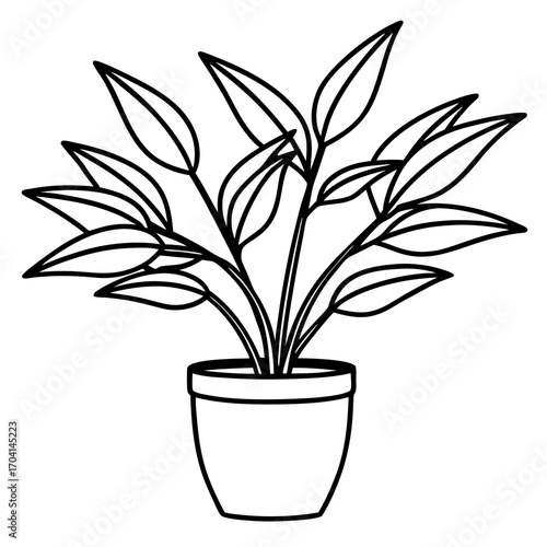 Modern Potted Plant Line Vector