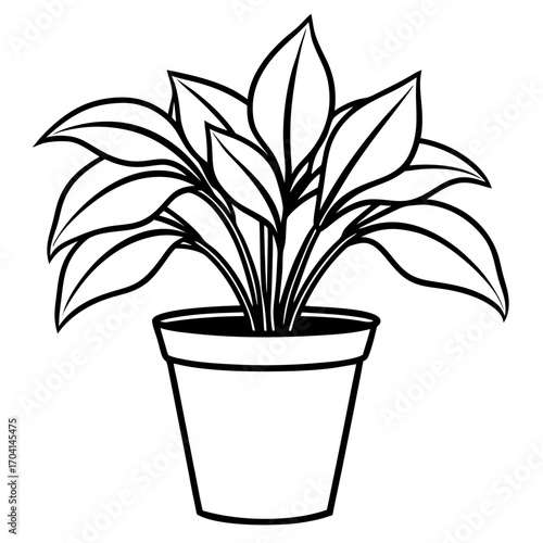 Modern Potted Plant Line Vector