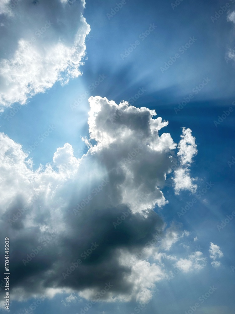 Fototapeta premium blue sky with clouds