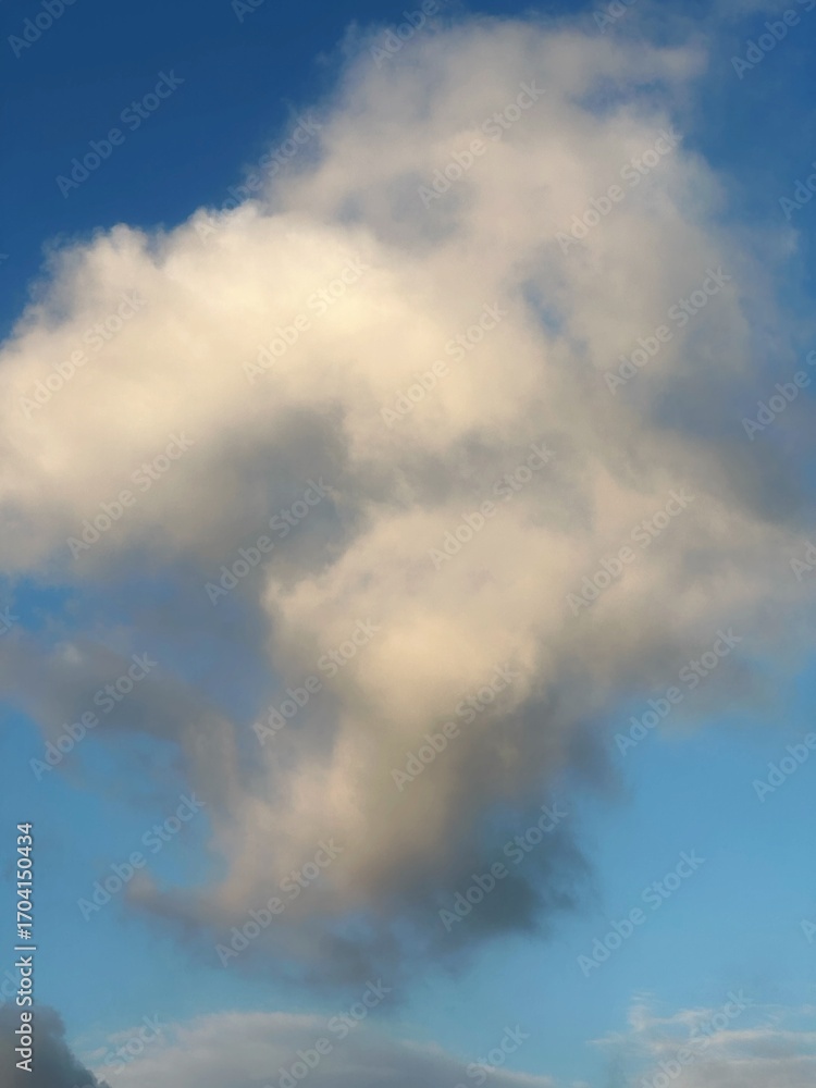 Fototapeta premium blue sky with clouds