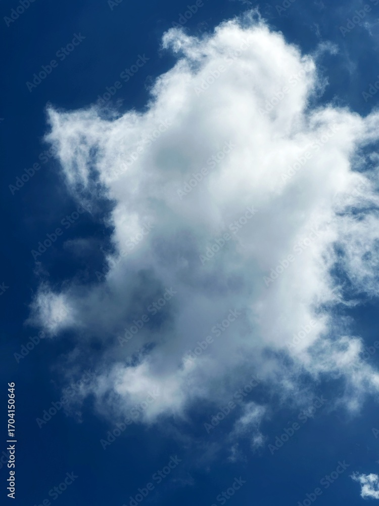 Fototapeta premium blue sky with clouds