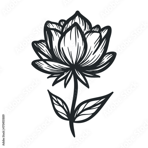 Nature event beautiful lotus flower botanical illustration still life serenity and elegance. Vector illustration