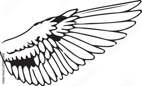 vector illustration of a bird