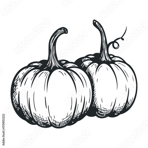 Pumpkin harvest festival farm field illustration autumn overhead view seasonal celebration. Vector illustration
