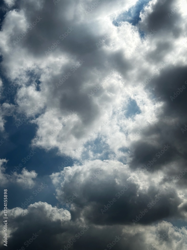 Fototapeta premium clouds in the sky