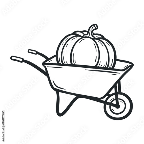 Harvesting pumpkins with a wheelbarrow garden illustration outdoor top-down view seasonal farming. Vector illustration