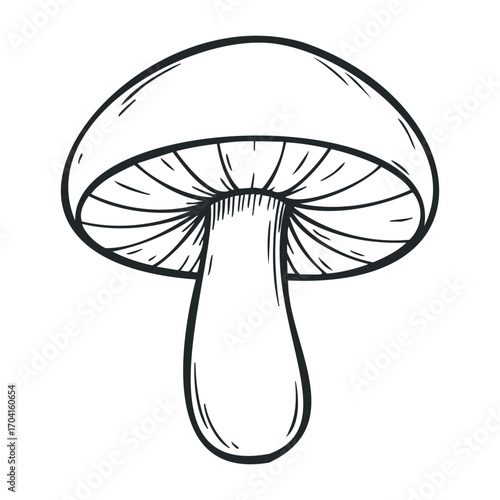 Exploring wild mushrooms forest floor illustration nature mycology and foraging concepts. Vector illustration