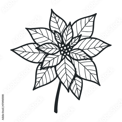 Botanical illustration of a stylized flower artistic render nature scene minimalist environment view creative design. Vector illustration
