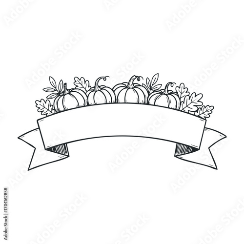 Harvest festival banner design featuring pumpkins autumn vibes graphic art seasonal environment top view celebration theme. Vector illustration